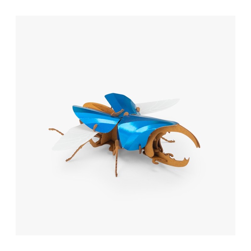 Scarabée 3D Puzzle - Tout autour du monde