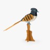Gobe-Mouche 3D Puzzle - Tout autour du monde