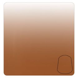 Warhammer Colour - Peinture Shade : Seraphim Sepia - 18 ml