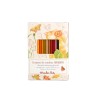 12 crayons de couleur + cartes Le jardinier