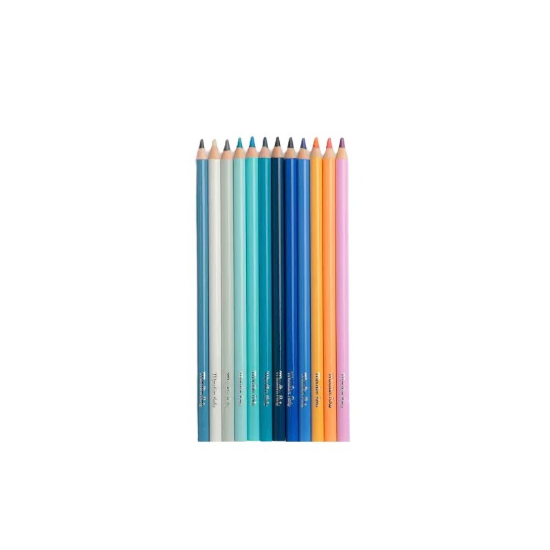12 crayons de couleur + cartes L'explorateur