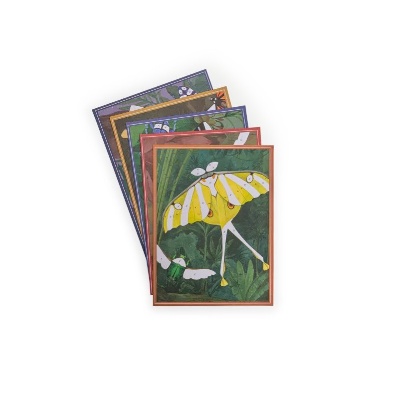 Cartes fantastiques - Tout autour du monde