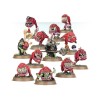 Warhammer Age of Sigmar - Gloomspite Gitz : Squig Herd