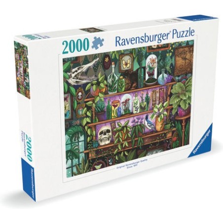 Puzzle Nenuphars rose 4000p.