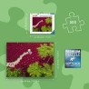 Puzzle Un océan de rouge 500p