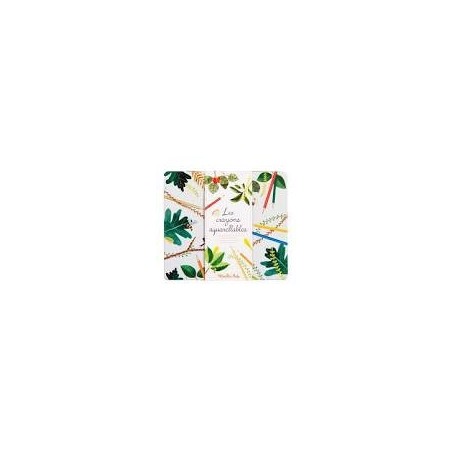 Boite Le jardin 24 crayons du Moulin aquarellables - Le Botaniste