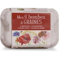Mes 6 bombes à graines - Boîte à oeufs - Moulin Roty