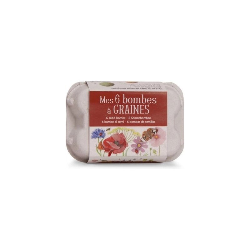 Mes 6 bombes à graines - Boîte à oeufs - Moulin Roty