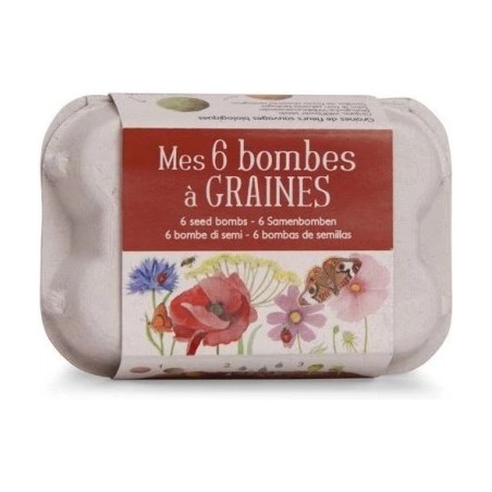 Mes 6 bombes à graines - Boîte à oeufs - Moulin Roty