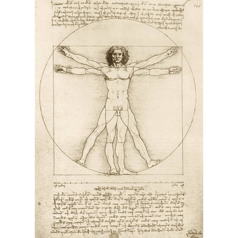 Puzzle - Leonard de Vinci : L'homme de Vitruve -1000p.