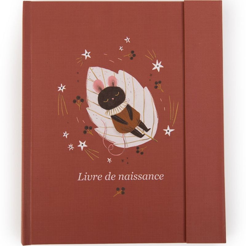 Moulin Roty - Livre de naissance - Après la pluie