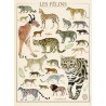 Puzzle Nathan - Les Félins - 500p.