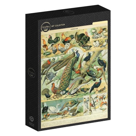 Puzzle - Illustration du Nouveau Larousse Illustré : Oiseaux XIXè Siècle- 1000p.