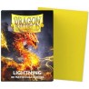 Dragon Shield - Standard Sleeves Dual Matte