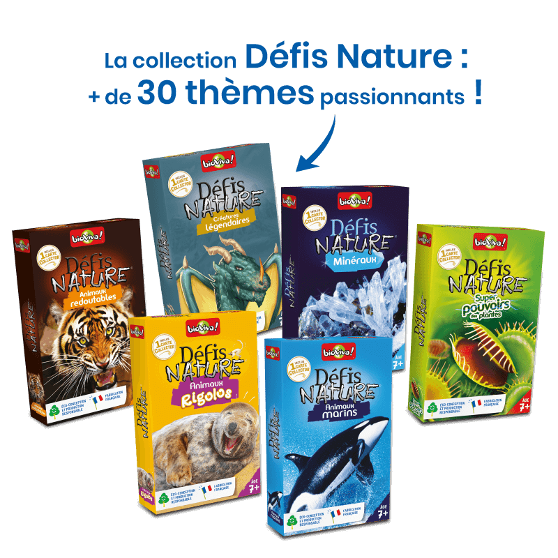Défis Nature - Chiens