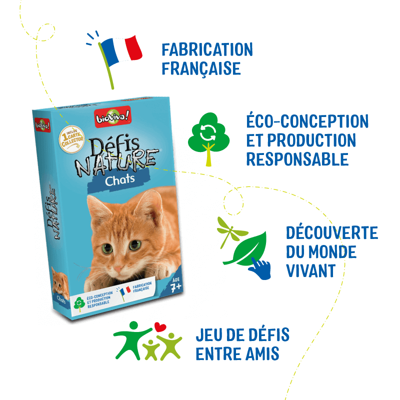Défis Nature - Chats