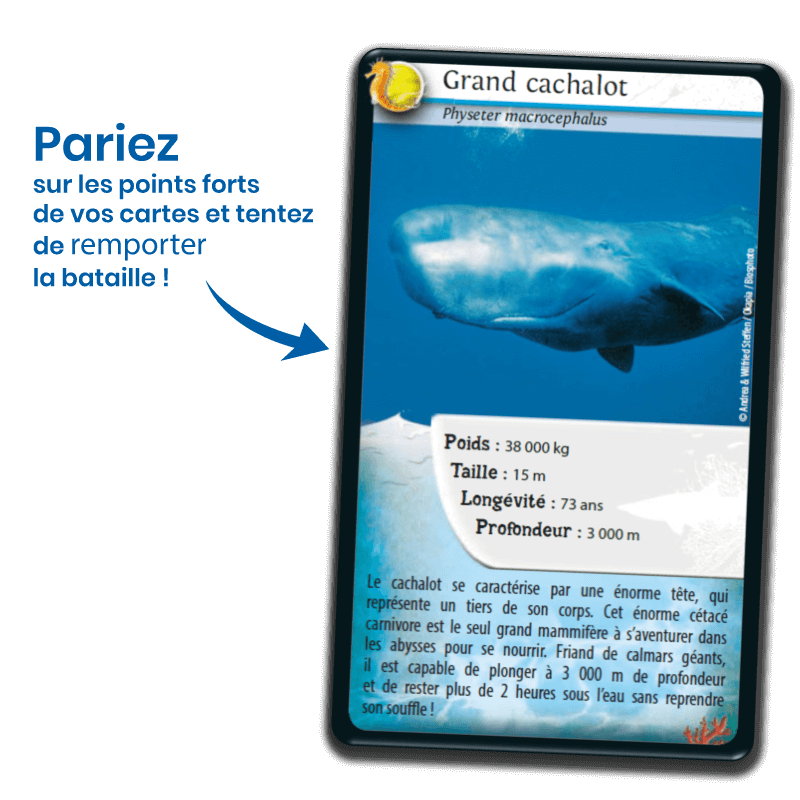 Défis Nature - Animaux marins