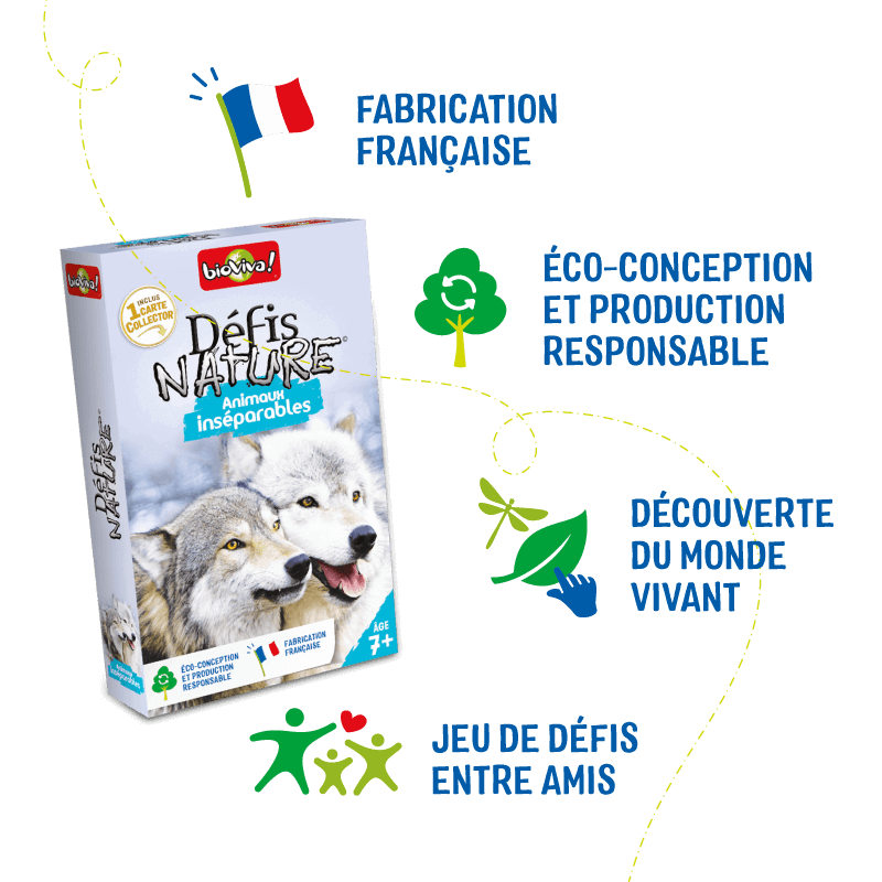 Défis Nature - Animaux inséparables