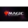 Magic The Gathering